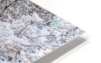 Winter Trail HD Metal print