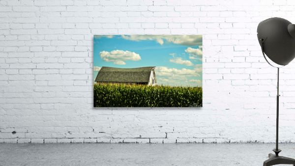 Barn in a Cornfield Wall Preview