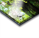 Hocking Hills 7 Acrylic print