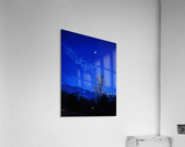 Backyard Night Acrylic Print