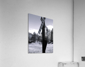BH 3 Acrylic Print
