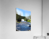 Yellowstone 1 Acrylic Print