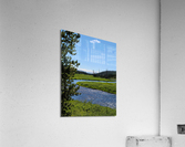Yellowstone 2 Acrylic Print