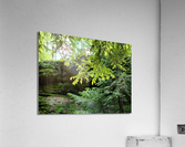 Hocking Hills 7 Acrylic Print