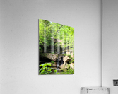 Hocking Hills 6b Acrylic Print