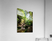 Hocking Hills 4 Acrylic Print