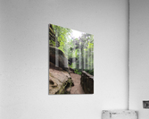 Hocking Hills 8 Acrylic Print