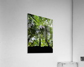Hocking Hills Acrylic Print