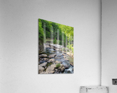 Glade Creek Acrylic Print