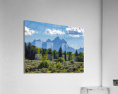 Tetons 2 Acrylic Print