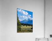 Tetons 3 Acrylic Print