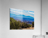 Canyonlands 3 Acrylic Print