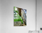 Natural Bridge 1 Acrylic Print