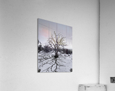 One  Acrylic Print