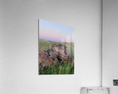 Lava Rock Acrylic Print