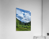 Black Hills SD Acrylic Print
