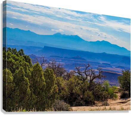 Canyonlands 3 Canvas Print