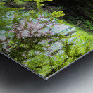 Hocking Hills 7 Metal print