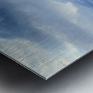 Arizona Metal print
