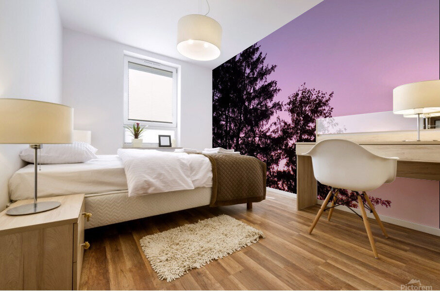 Rising Sun Mural print