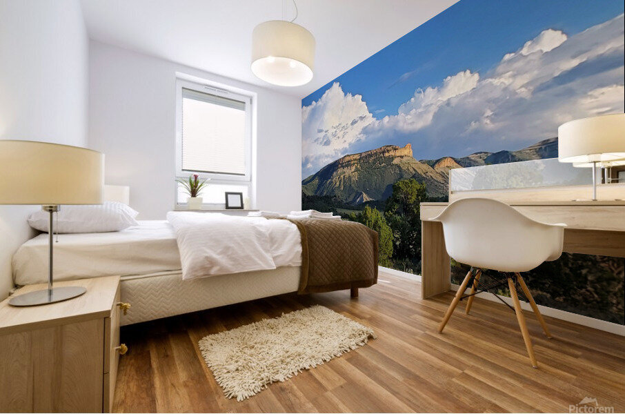 Mesa Verde 1 Mural print