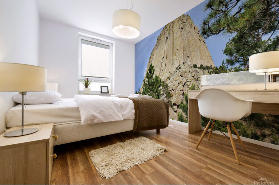 Devils Tower 3 Mural print
