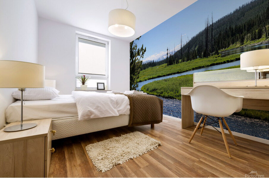 Yellowstone 2 Mural print