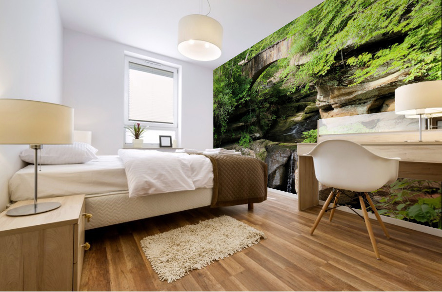 Hocking Hills 6b Mural print