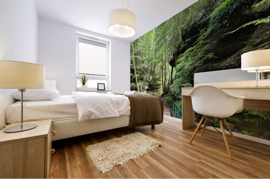 Hocking Hills 5 Mural print