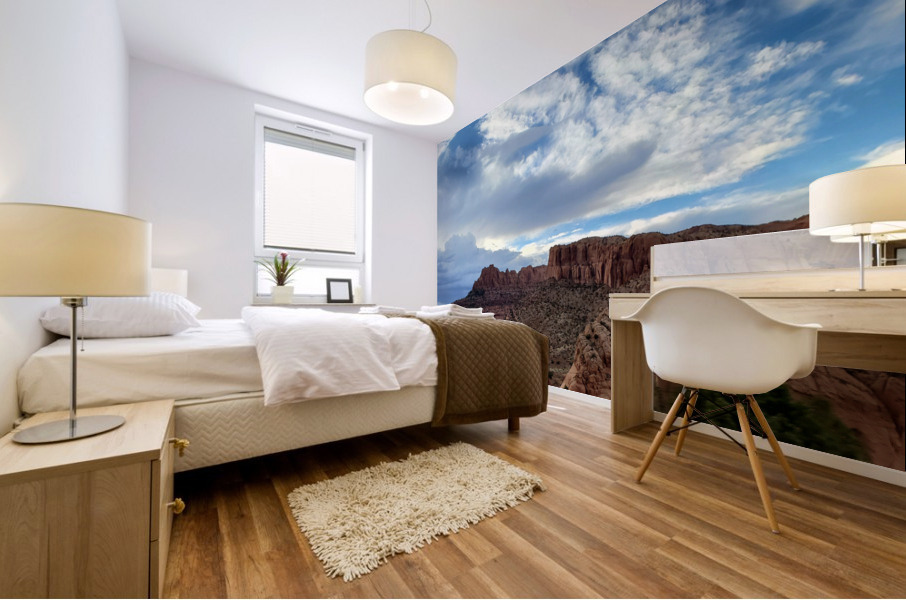 Arizona Mural print