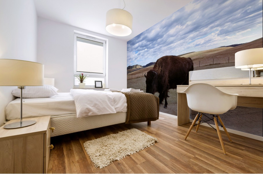 Black Hills Custer Mural print