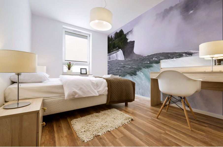 Niagra Falls Mural print