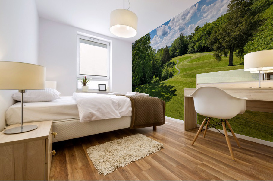 Surpent Mound Mural print