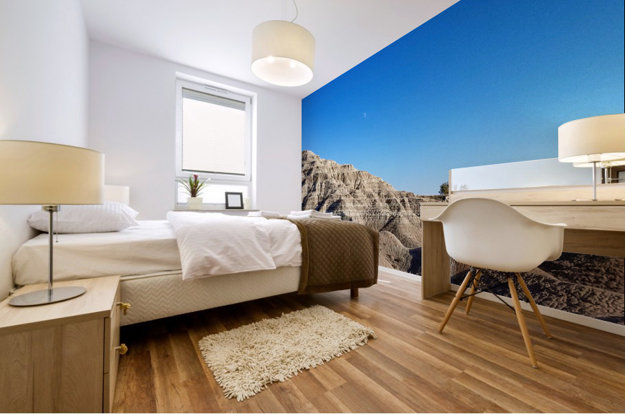 Badlands SD Mural print