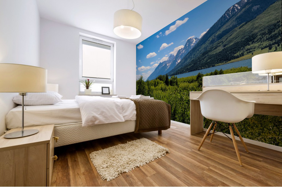 Tetons Mural print