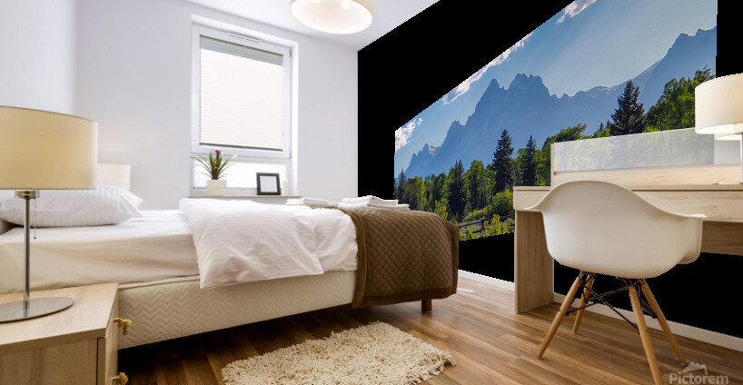Tetons 2 Mural print