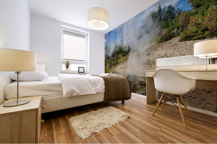 Dragons Breath Mural print
