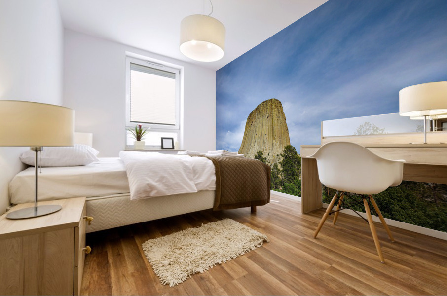 Devils Tower Mural print
