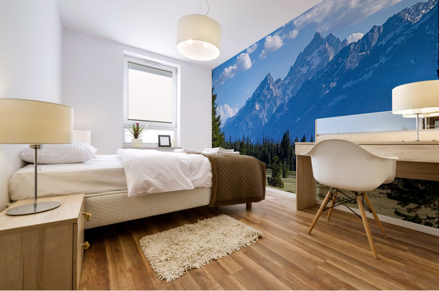 Tetons 3 Mural print