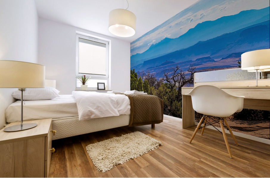 Canyonlands 3 Mural print