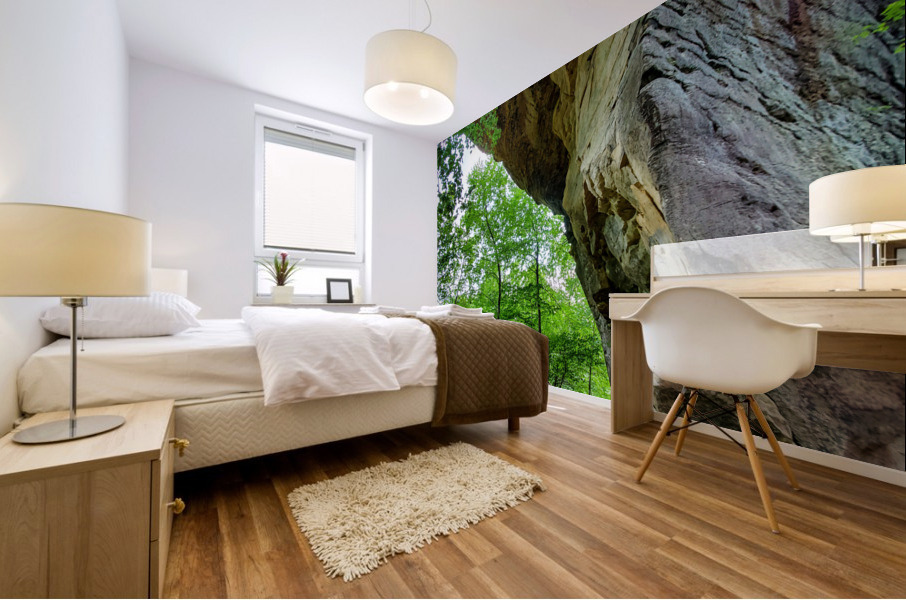 Natural Bridge 1 Mural print