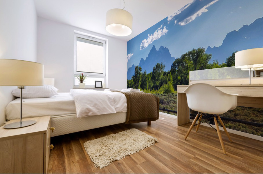 Tetons 1 Mural print