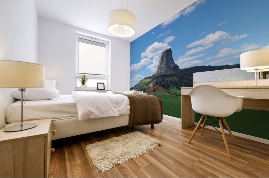 A Different View Mural print