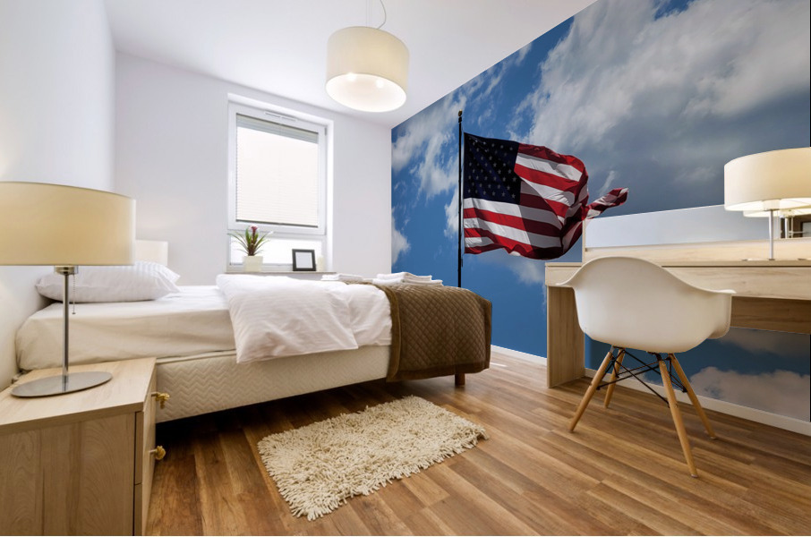 USA Mural print