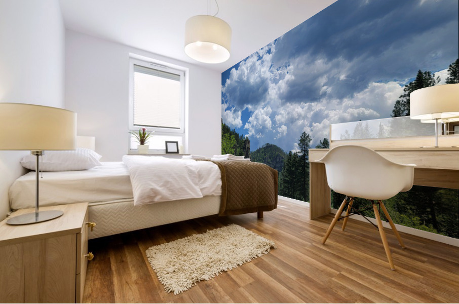Black Hills SD Mural print