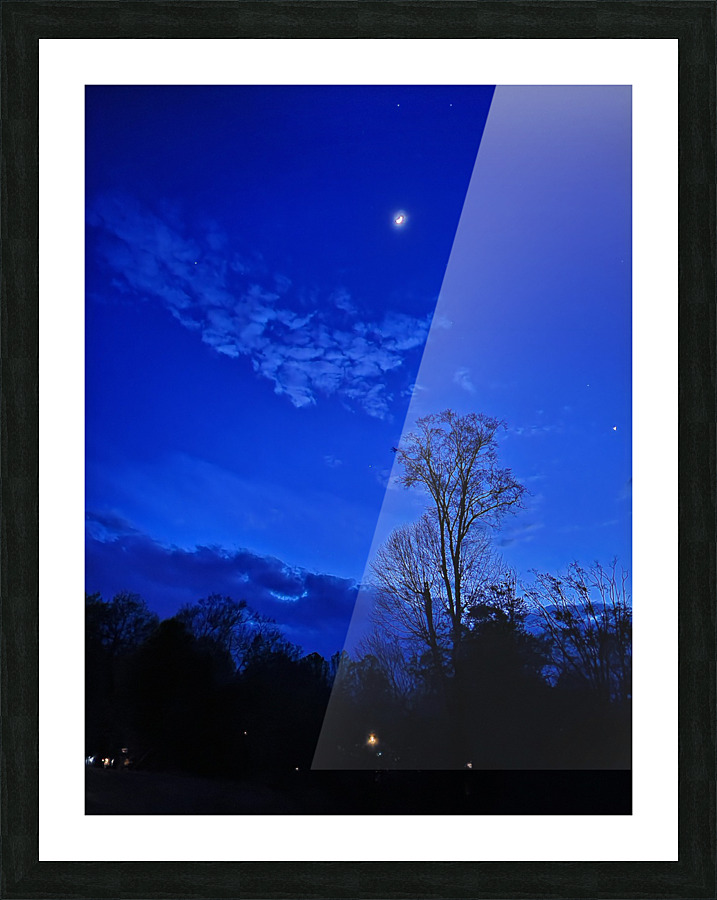 Backyard Night Picture Frame print