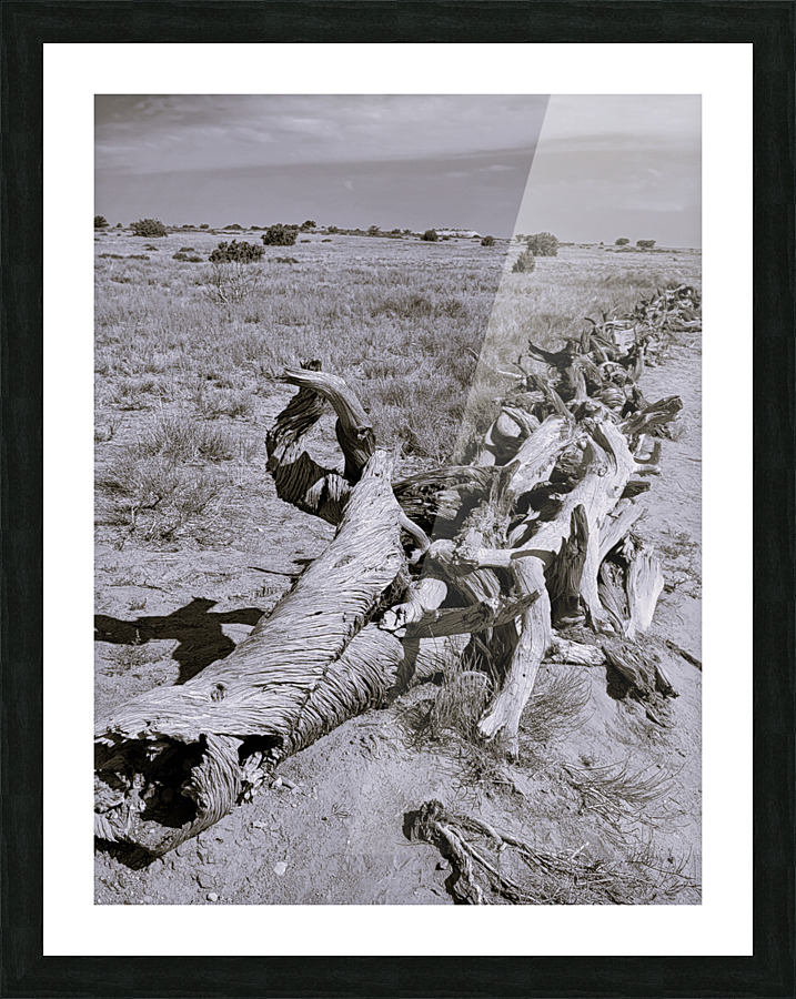 Driftwood Picture Frame print
