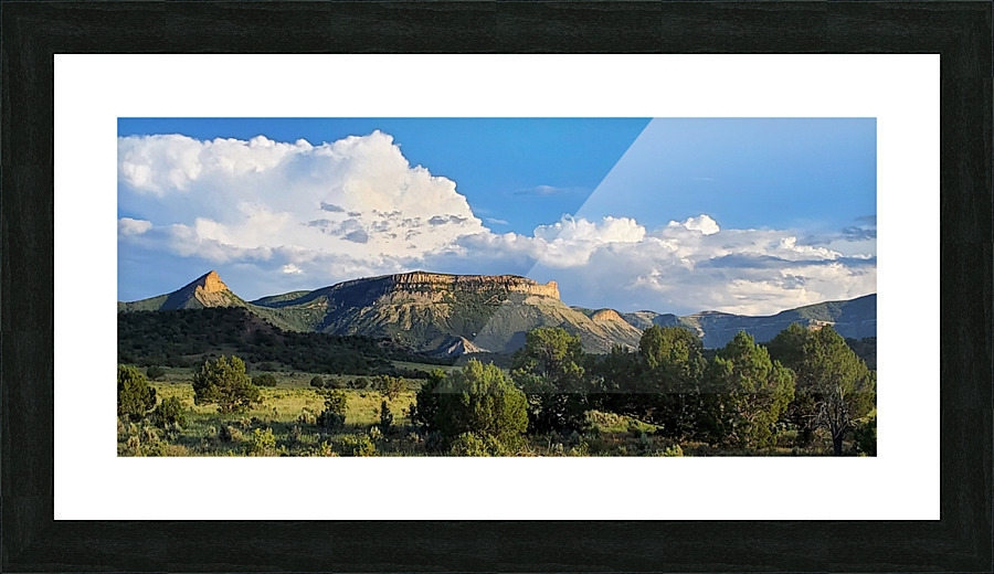 Mesa Verde 1 Picture Frame print