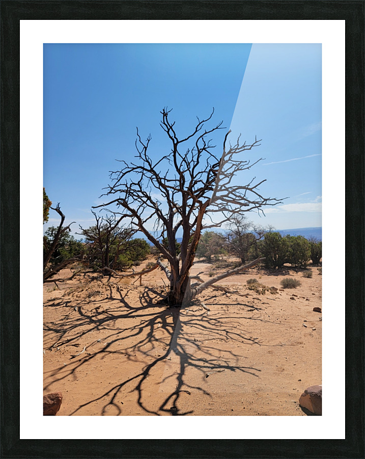 Canyonlands One Picture Frame print