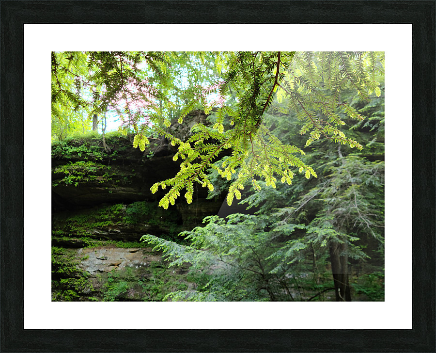 Hocking Hills 7 Picture Frame print